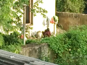 फ्रेंच अरब फुल सेक्स ...