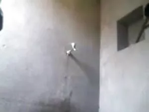 सुंदर प्लंपर साशा जु ...