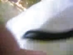 शौक़ीन सेक्सी मूवी ह ...