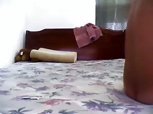 लैटिन जंगली पार्टी म ...