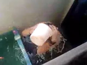 संचिका श्यामला एलिसन ...
