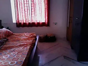 हॉट अमेरिकन पाइने ने ...