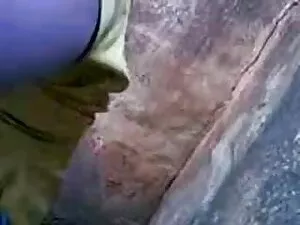 सिगामोस हाइसेन्डो से ...