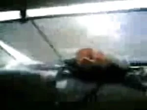 सभी पदों में रॉक्सी  ...