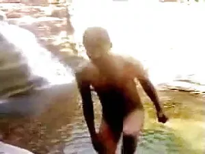 सुंदर आबनूस गधा में  ...