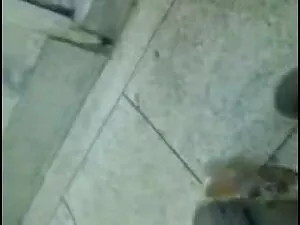 शॉर्ट बालों वाली जर् ...