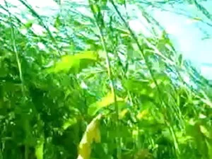 अनुभवी जर्मन फूहड़ प ...