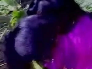 2 सेक्सी वीडियो हिंद ...