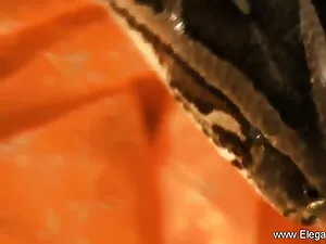 गधा सेक्सी फुल मूवी  ...