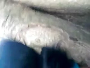 रकील डारियन और विक्ट ...