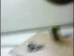 लघु बालों वाली स्टील ...