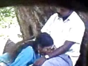 AMWF ब्लॉन्डे कट एले ...